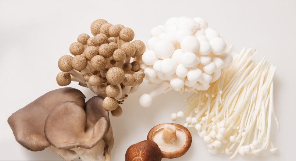 含麥角硫因的可食用菌類(lèi).jpg